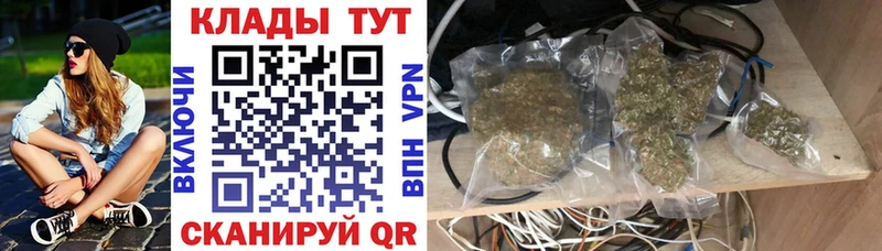 Где продают наркотики Вязники Каннабис  Псилоцибиновые грибы  Амфетамин  ГАШ  Кокаин 