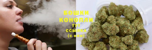 винт Белокуриха