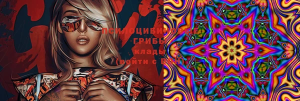 таблы Сосновый Бор