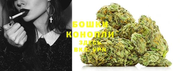 винт Белокуриха