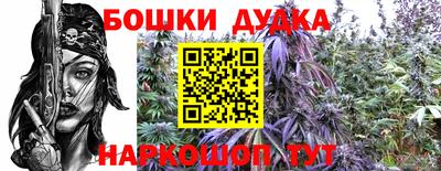 мдпв Моздок