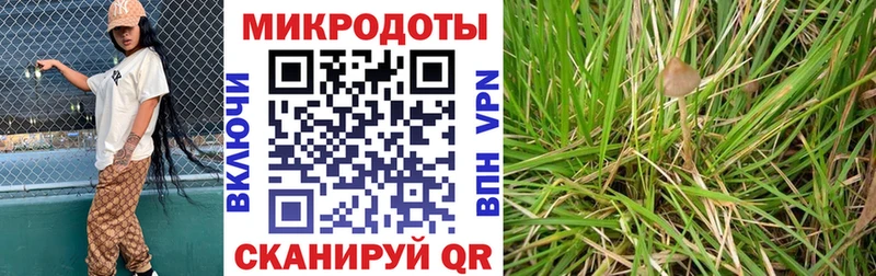 сколько стоит  маркетплейс клад  Галлюциногенные грибы Magic Shrooms  Вязники 