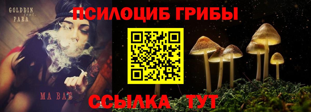 Галлюциногенные грибы ЛСД  Вход с VPN  Вязники 